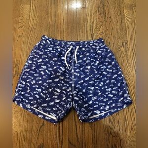 Bertigo Men’s bathing suit